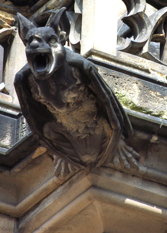 Katedra Św. Wita, gargulce (rzygacze)   Gargoyle