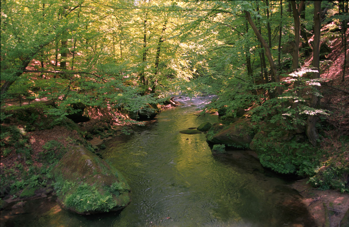 Bohemian Switzerland - Kamenica River