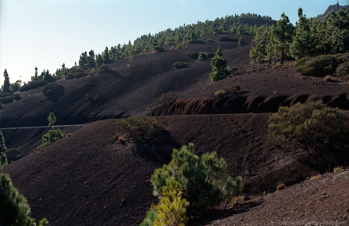 IVolcano Tejde