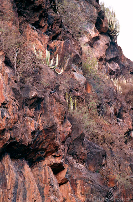 Barranco del Infierno, Devil's Gorge