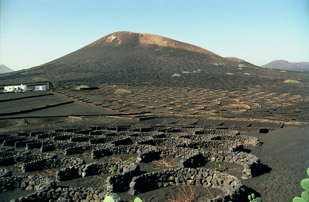 Winegrowing in La Geria - Lanzarote