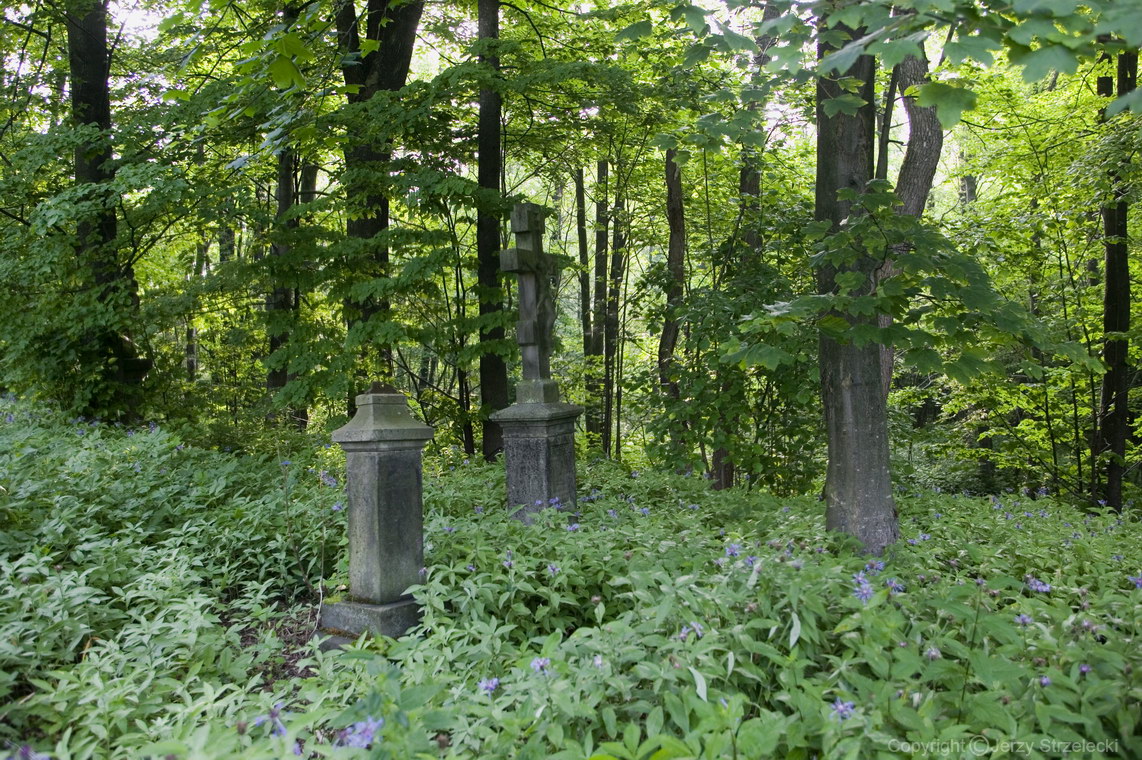 WOŁOWIEC - cmentarz obok cerkwi
