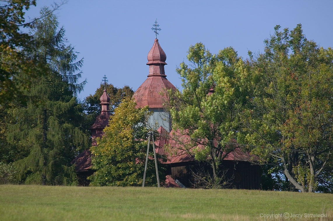 KRZYWA